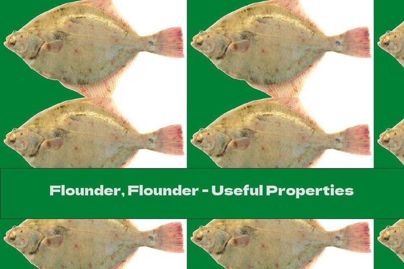 Flounder, Flounder - Useful Properties