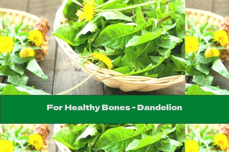 For Healthy Bones - Dandelion