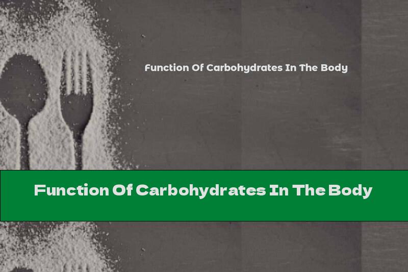 Function Of Carbohydrates In The Body