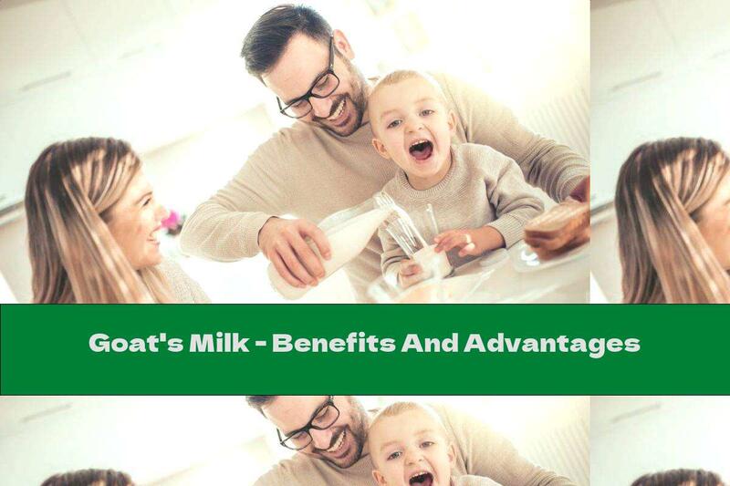 Goat's Milk - Benefits And Advantages