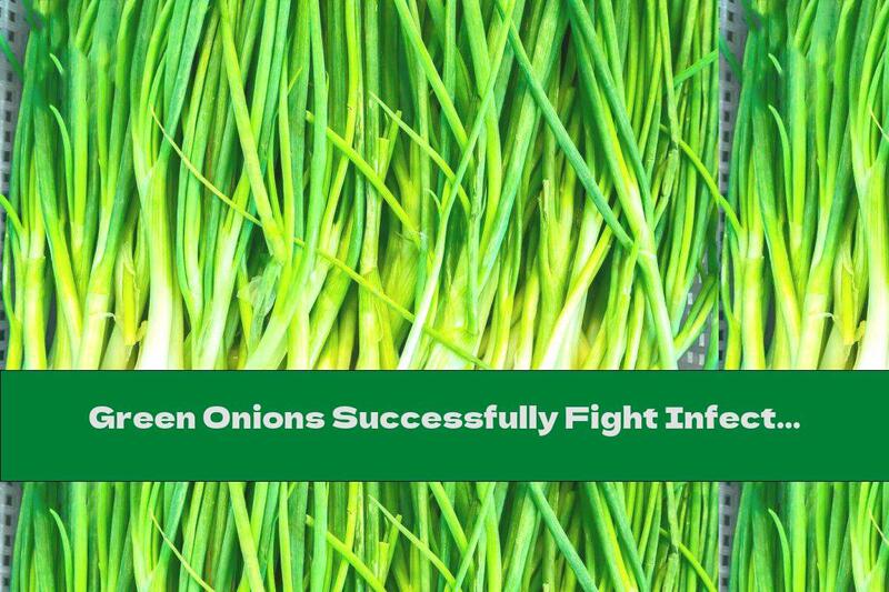 Green Onions Successfully Fight Infections