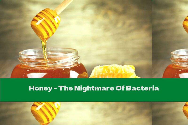 Honey - The Nightmare Of Bacteria