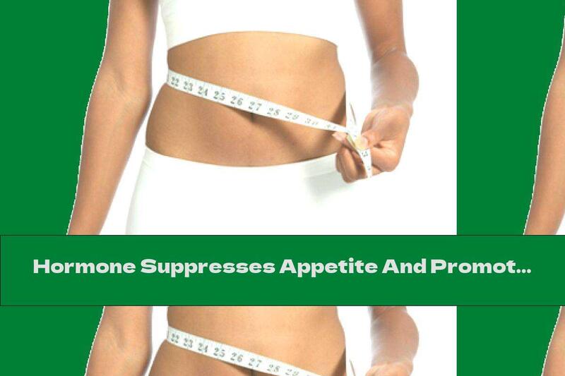 Hormone Suppresses Appetite And Promotes Weight Loss