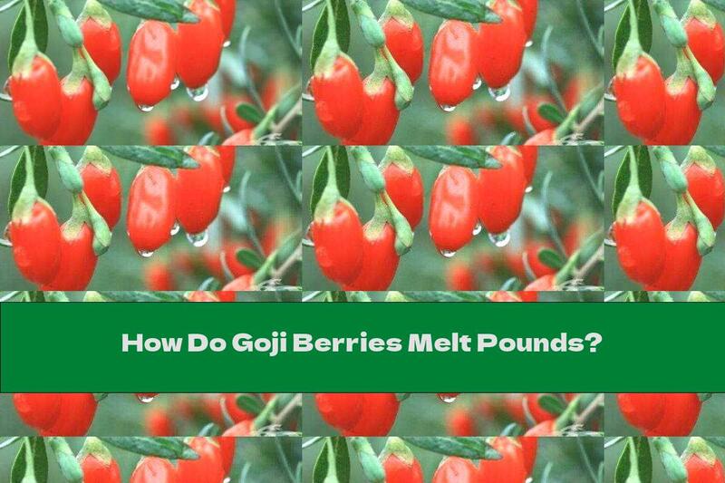 How Do Goji Berries Melt Pounds?