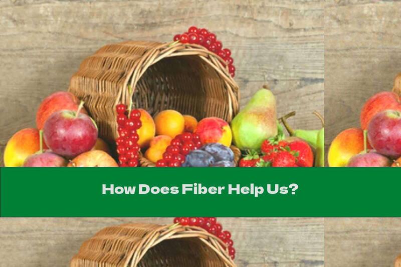 How Does Fiber Help Us?
