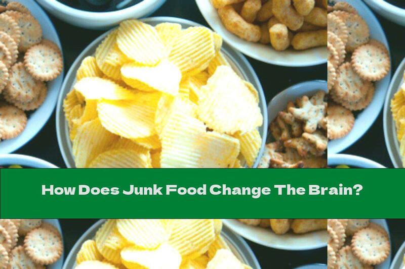 How Does Junk Food Change The Brain?