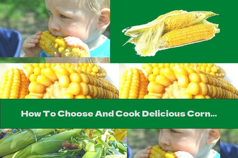How To Choose And Cook Delicious Corn - Recipes