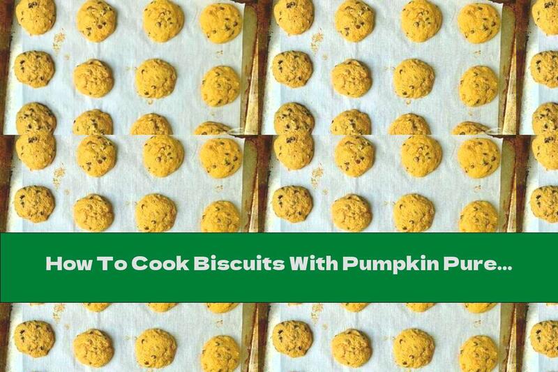 How To Cook Biscuits With Pumpkin Puree And Chocolate Chips - Recipe