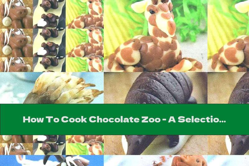 How To Cook Chocolate Zoo - A Selection Of Delicious Animals. Second Part - Recipe