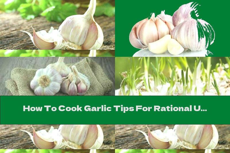 How To Cook Garlic Tips For Rational Use Of Vegetables - Recipe
