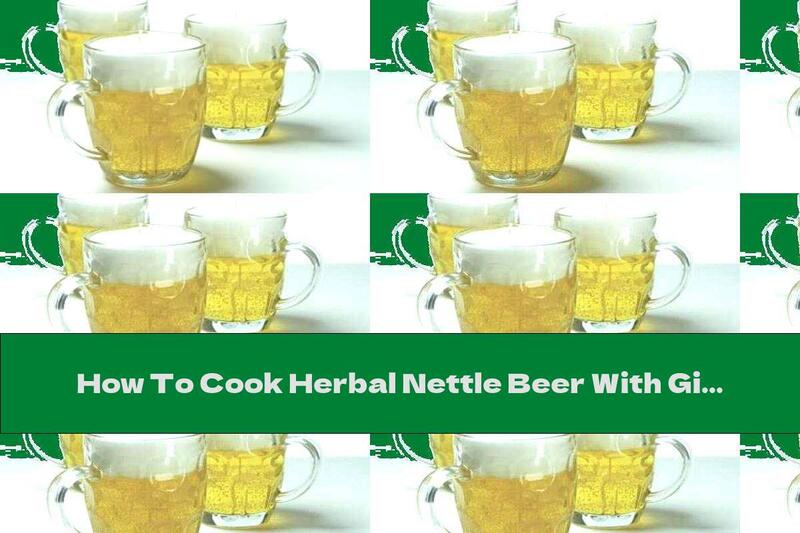 How To Cook Herbal Nettle Beer With Ginger - Recipe