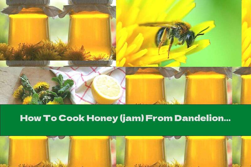 How To Cook Honey (jam) From Dandelions: Recipes And Different Technologies - Recipe