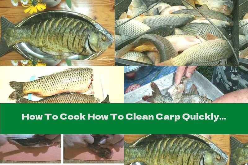 How To Cook How To Clean Carp Quickly And Easily - Recipe