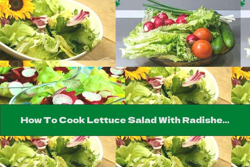 How To Cook Lettuce Salad With Radishes, Cucumber And Green Onions - Recipe