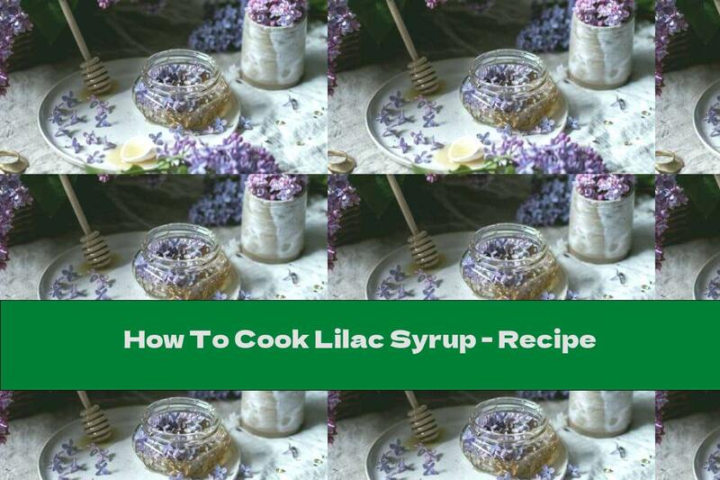 How To Cook Lilac Syrup - Recipe
