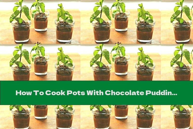 How To Cook Pots With Chocolate Pudding And Mint Extract - Recipe