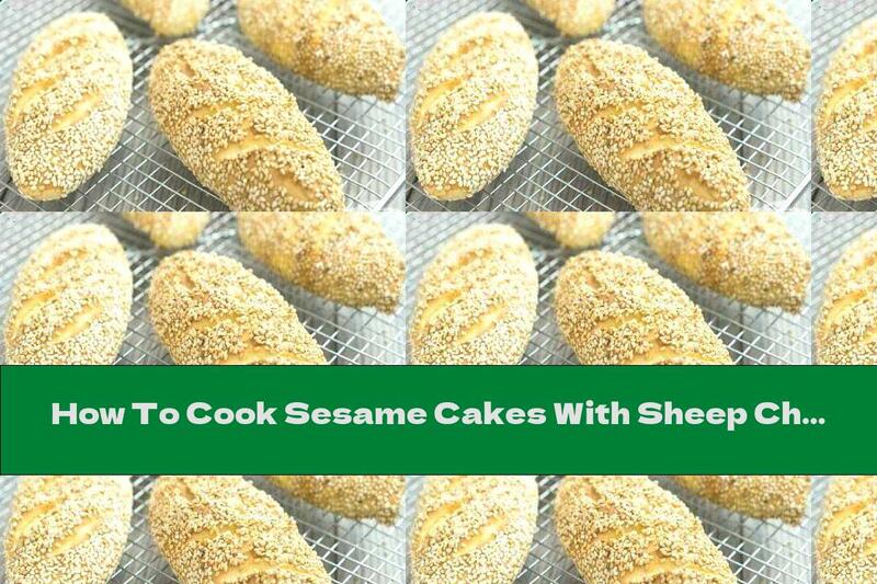 How To Cook Sesame Cakes With Sheep Cheese And Sausage - Recipe