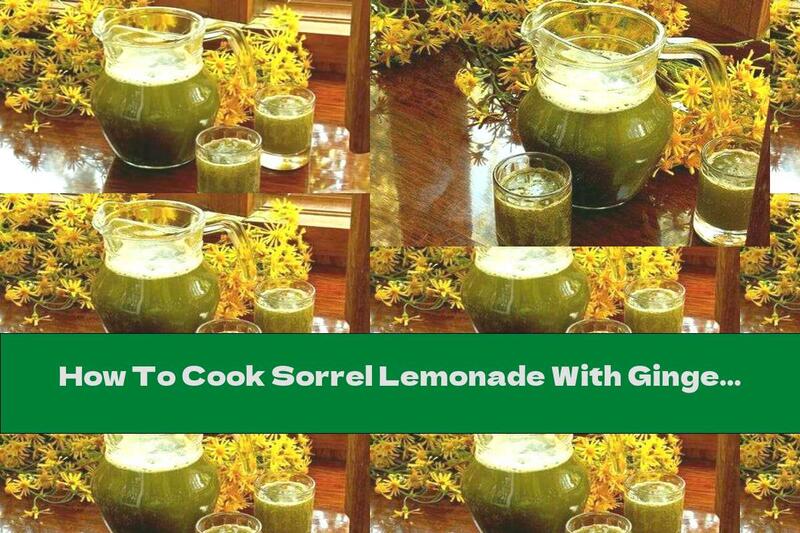 How To Cook Sorrel Lemonade With Ginger Syrup - Recipe