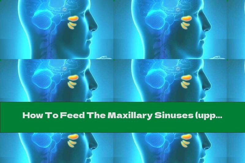How To Feed The Maxillary Sinuses (upper Sinuses)