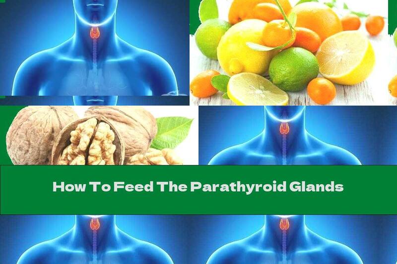 How To Feed The Parathyroid Glands