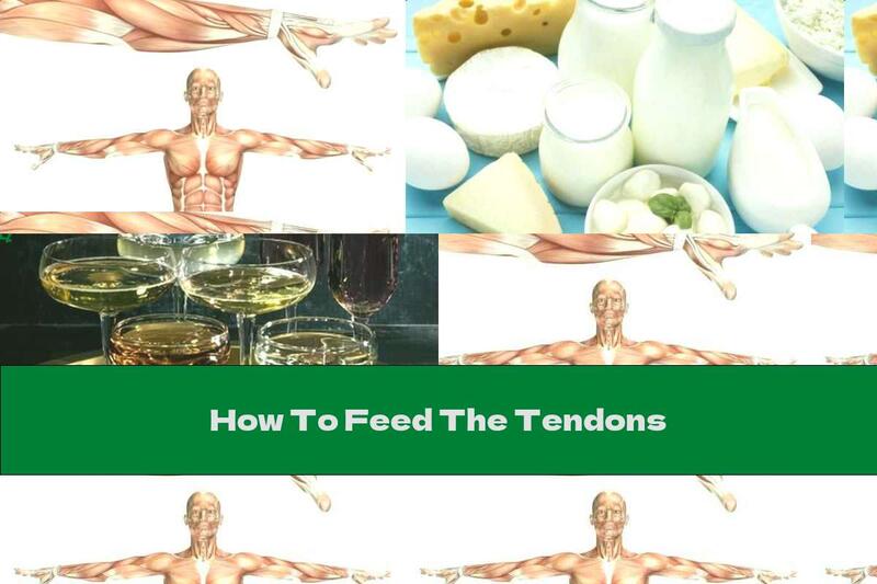 How To Feed The Tendons