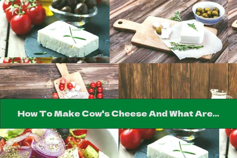 How To Make Cow's Cheese And What Are Its Benefits