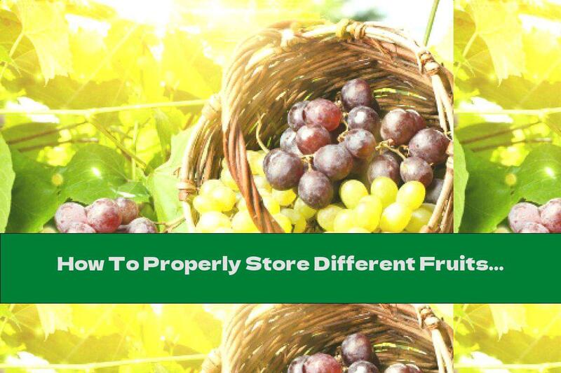 How To Properly Store Different Fruits?