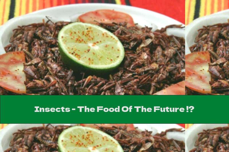 Insects - The Food Of The Future !?