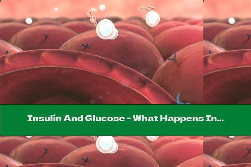 Insulin And Glucose - What Happens In The Body?