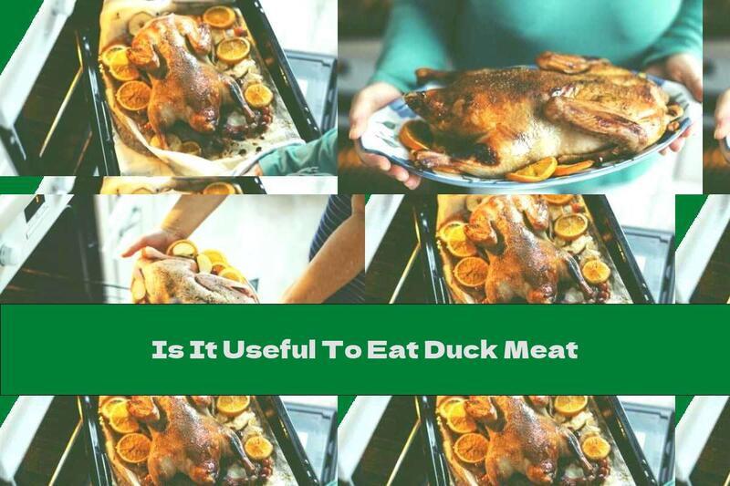 Is It Useful To Eat Duck Meat