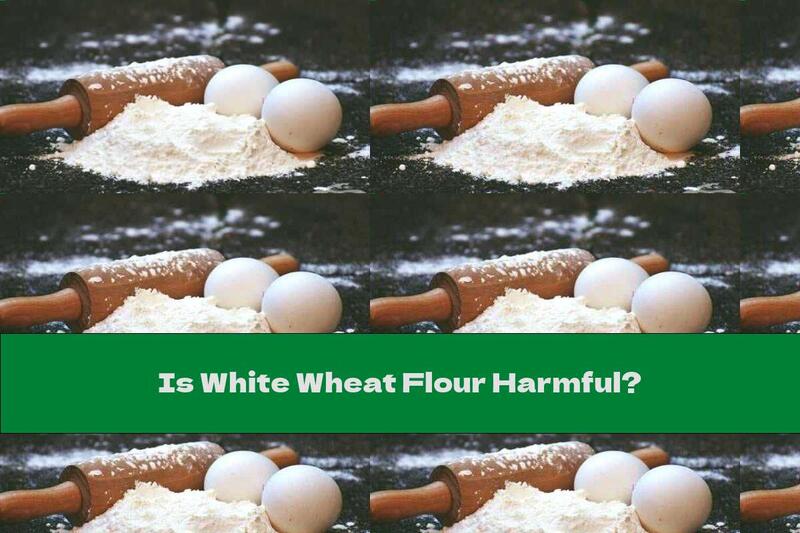 Is White Wheat Flour Harmful?
