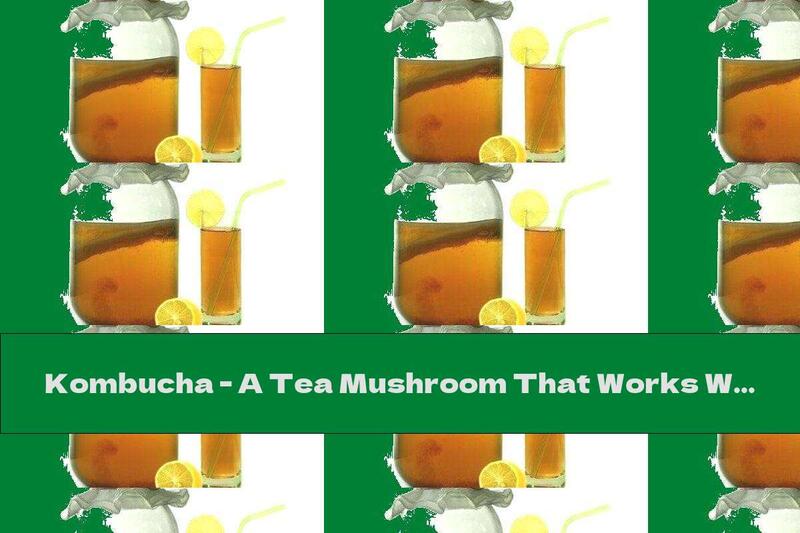 Kombucha - A Tea Mushroom That Works Wonders