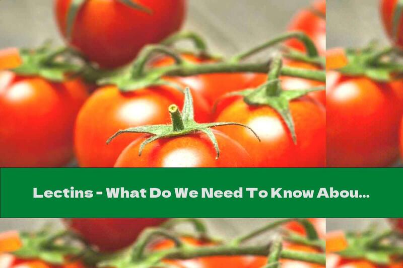 Lectins - What Do We Need To Know About The New Gluten?