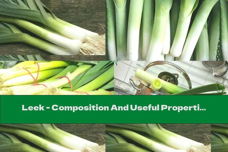 Leek - Composition And Useful Properties