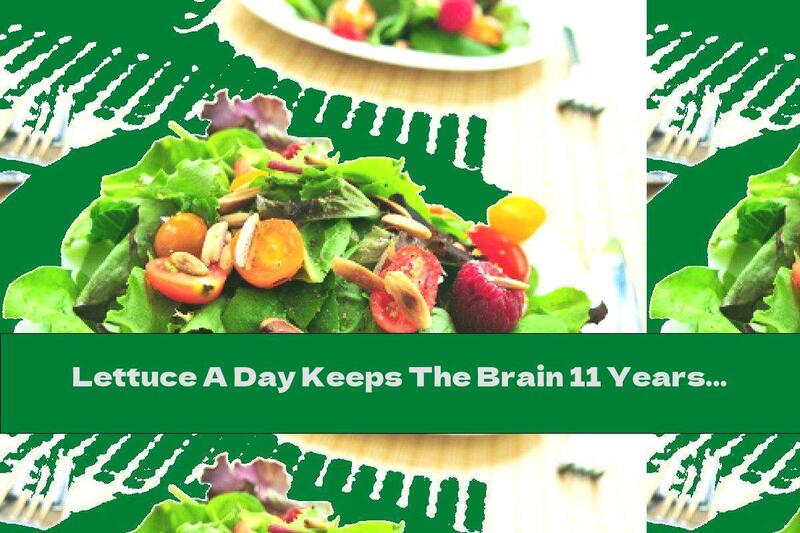 Lettuce A Day Keeps The Brain 11 Years Younger