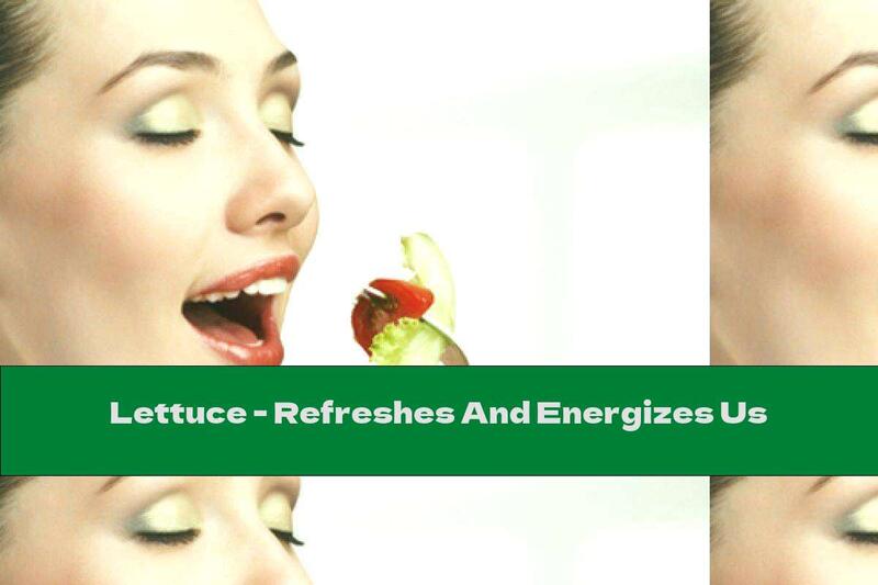 Lettuce - Refreshes And Energizes Us