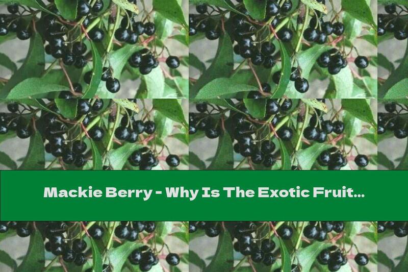 Mackie Berry - Why Is The Exotic Fruit Useful