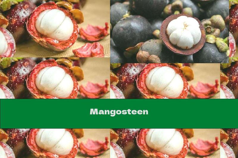 Mangosteen