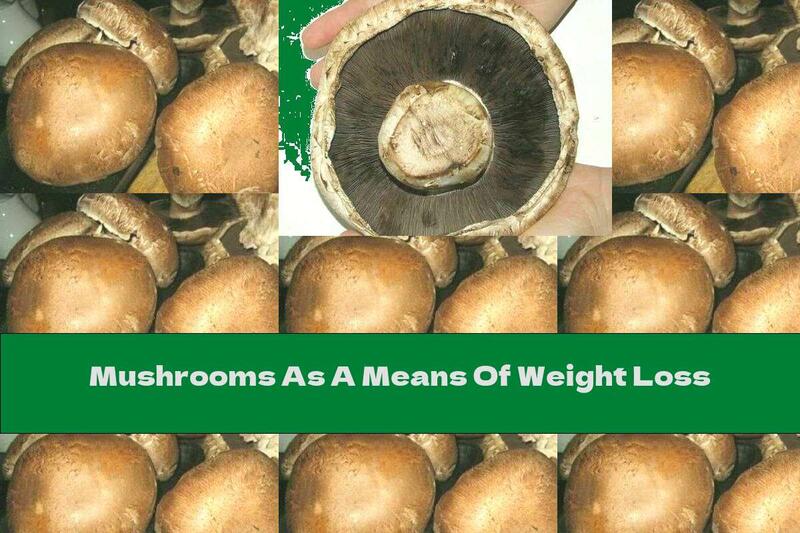 Mushrooms As A Means Of Weight Loss