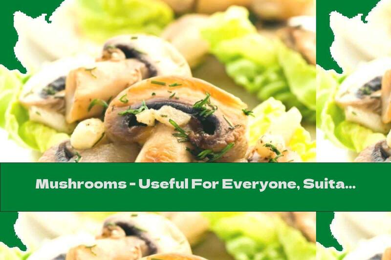 Mushrooms - Useful For Everyone, Suitable For Vegans