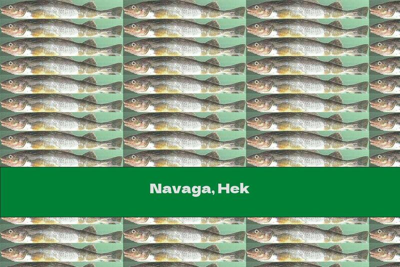 Navaga, Hek
