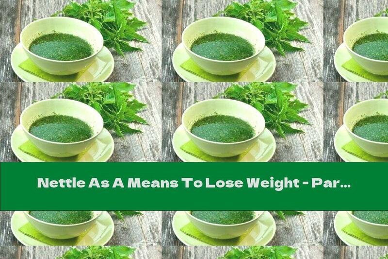 Nettle As A Means To Lose Weight - Part One