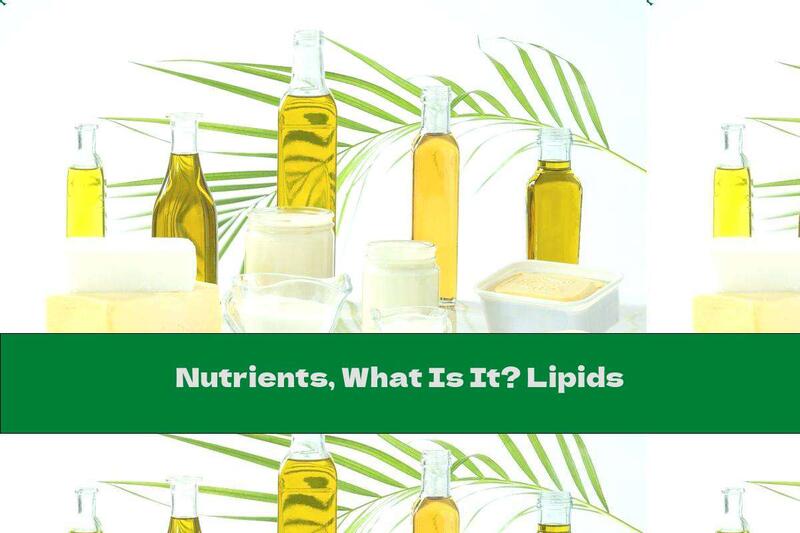 Nutrients, What Is It? Lipids