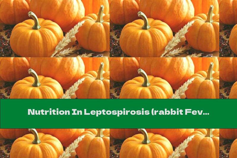 Nutrition In Leptospirosis (rabbit Fever)