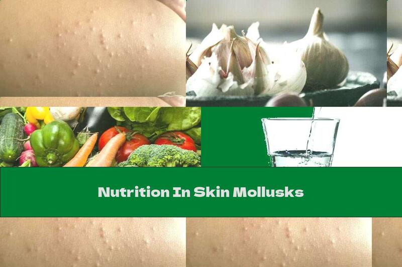 Nutrition In Skin Mollusks