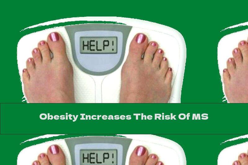 Obesity Increases The Risk Of MS