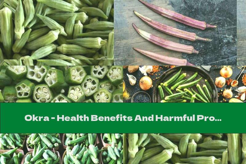 Okra - Health Benefits And Harmful Properties