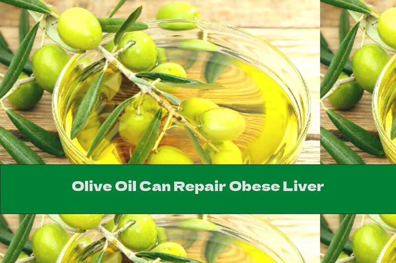 Olive Oil Can Repair Obese Liver