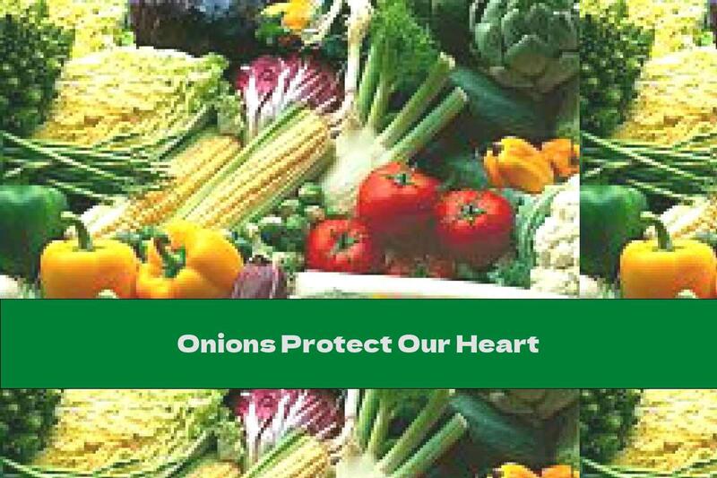 Onions Protect Our Heart