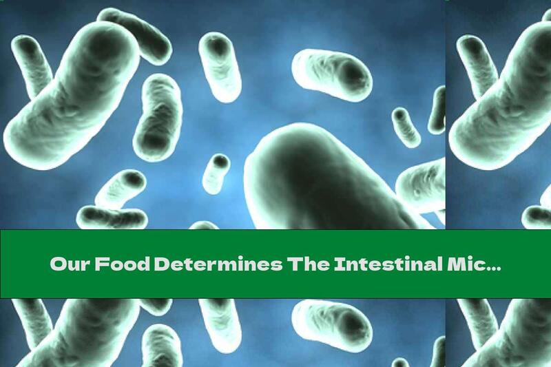 Our Food Determines The Intestinal Microflora